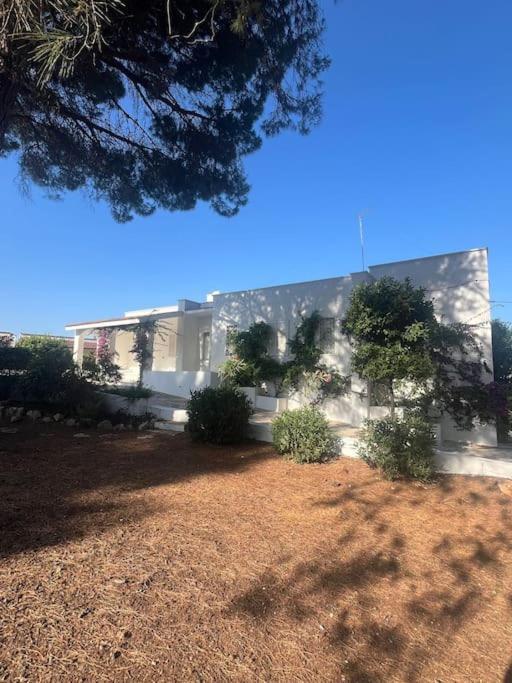 Villa Bouganville 2 Ostuni Exterior foto